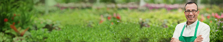 Small Business Payroll Services