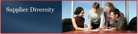 Supplier Diversity