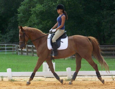 Samantha and horse