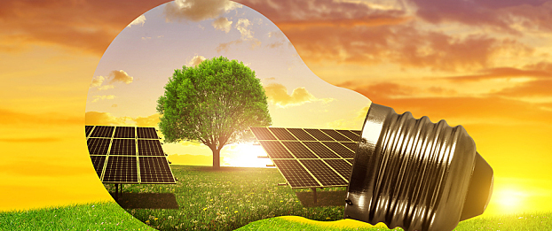 Featured Image for 4 Ways to Create a More Sustainable Workplace