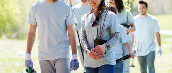 5 Fantastic Company Outing Ideas For Summer