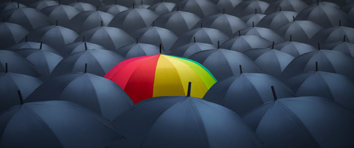Socialismo tarjeta Cíclope Learn How Employers Can Support Transgender Rights in the Workplace | SPARK  Blog | ADP