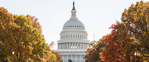 US Capitol Building photo with fall trees surrounding
