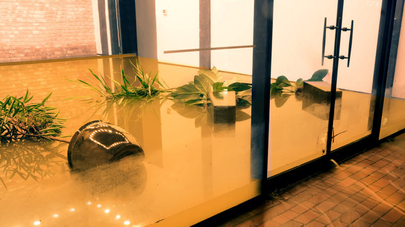 image of flooded office lobby with decorative plants toppled image of a flooded office lobby with damage that will require insurance claim