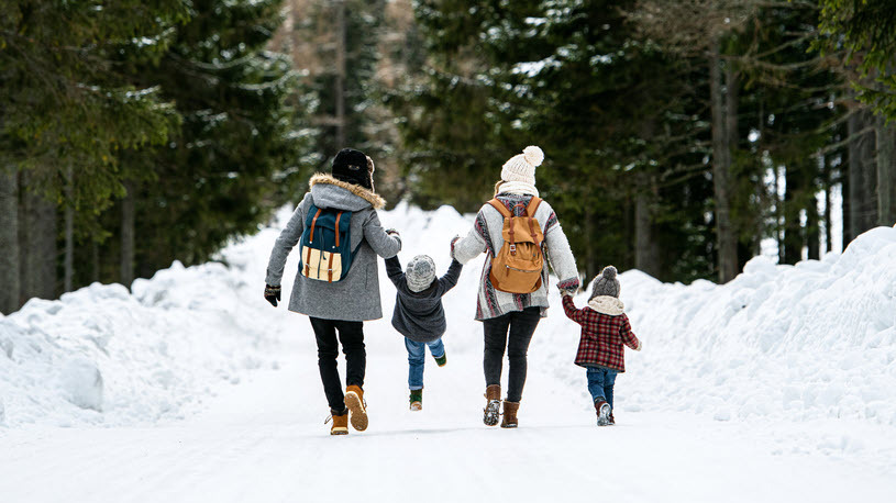 Family of four walking in snowy woods hand in hand Family of four walking in snowy woods hand in hand