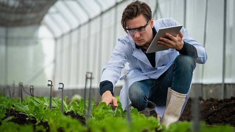 Photo of young male agri researcher with plants in greenhouse Photo of young male agri researcher with plants in greenhouse