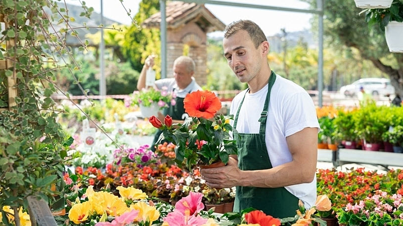 Employees of the garden center work overtime during busy summer Employees of the garden center work overtime during busy summer