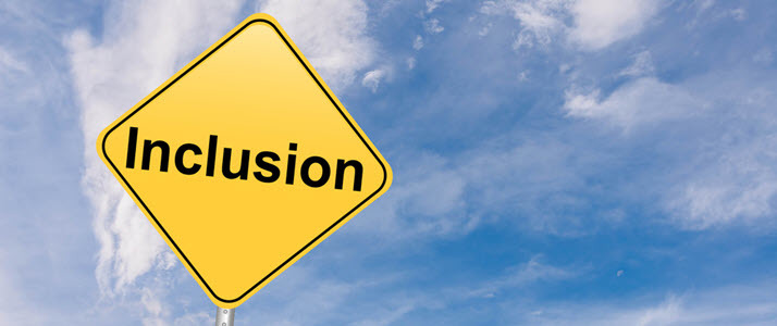 Diversity and Inclusion A road sign that reads inclusion