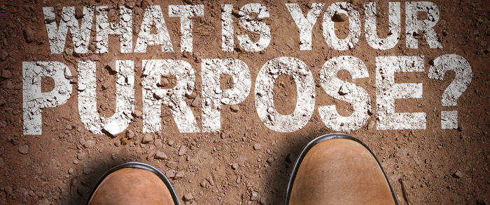 Beyond the Bottom Line: HCM Strategy Can Help Corporate Success Beyond the Bottom Line: How HCM Strategy Can Help Corporate Success