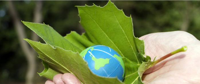 A hand holds an eco friendly leaf and earth symbol.