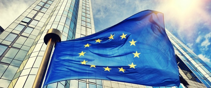 European works council works council european union employees