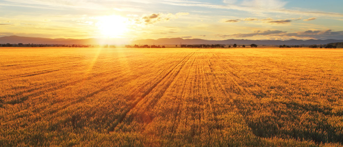 Increase Task Efficiency With the Right Technology | SPARK Blog | ADP