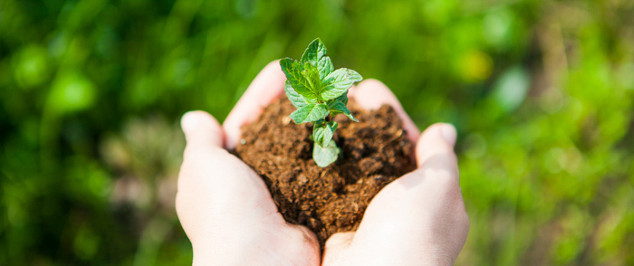 Organizations Are Getting Proactive About Climate Change The impact of climate change.