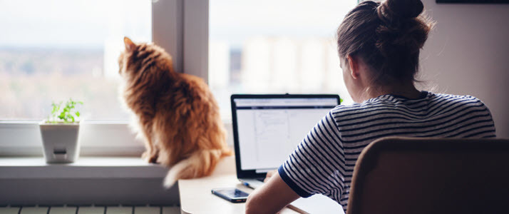 female freelance worker with cat
