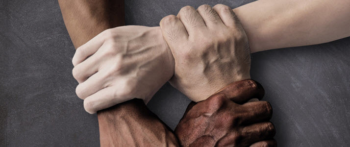 Taking a Data-Based Approach to Diversity and Inclusion Four hands with different colorations are joined together