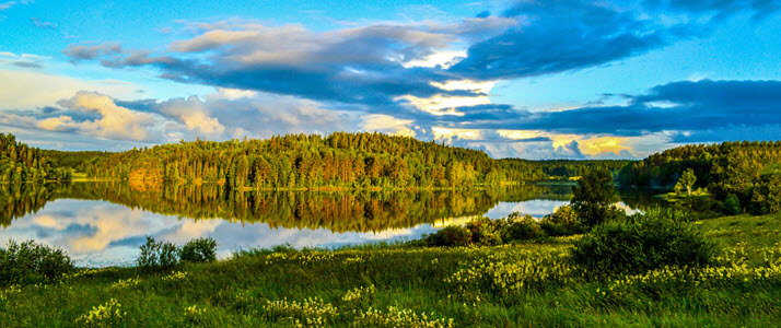 The Social Presence of Physical Distance The Social Presence of Physical Distance