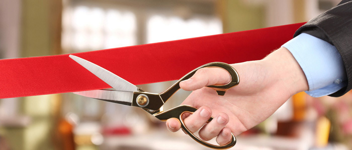 What is an LLC? The Small Business Primer What is an LLC? The Small Business Primer