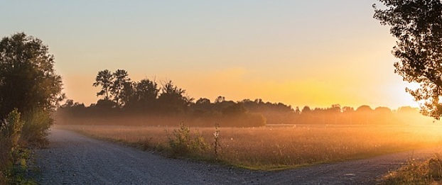 Sexual Harassment in the Workplace The sun rises behind a fork in the road.