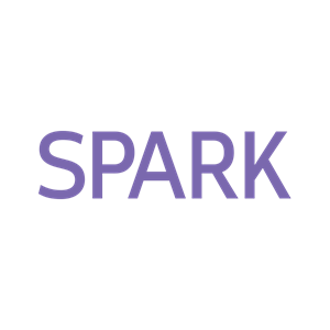 Spark Team