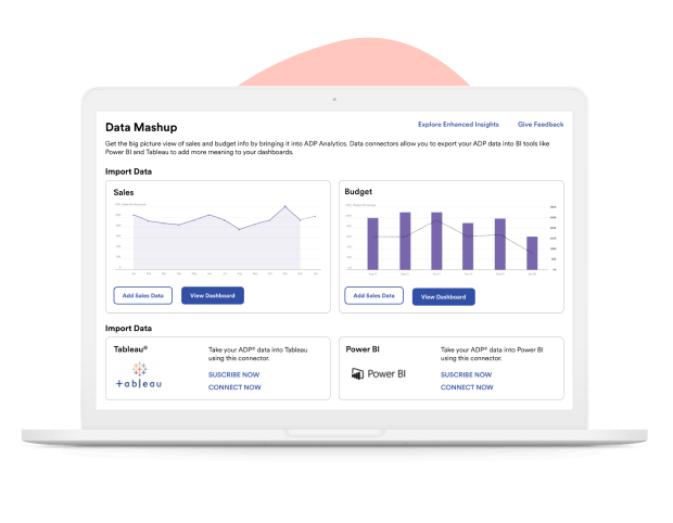 Screenshot of data mashup dashboard previewing sales and budget charts