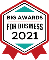BIG Awards for Business 2021