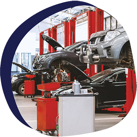 Ziebart testimonial featuring Joni Hoff hero