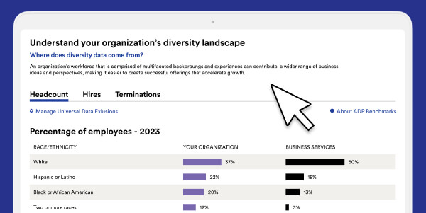 Diversity landscape dashboard comparing your organization ethnicity backgroun to the diversit data in your business category